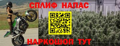 гидра Северобайкальск