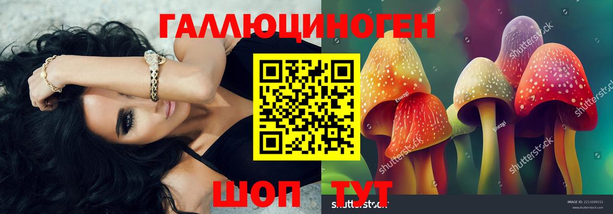 Псилоцибиновые грибы GOLDEN TEACHER Сердобск